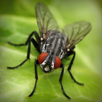 /album/alejandracur/photolia-a01-jpg/