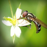 /album/alejandracur/photolia-a02-jpg/