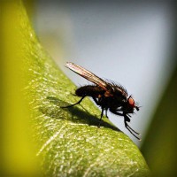 /album/alejandracur/photolia-a04-jpg/