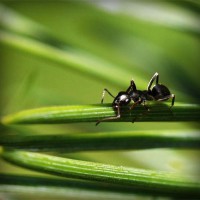 /album/alejandracur/photolia-a05-jpg/