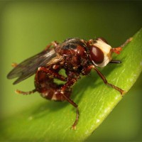 /album/alejandracur/photolia-a06-jpg/