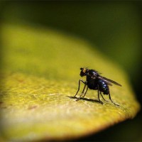 /album/alejandracur/photolia-a07-jpg/