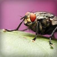 /album/alejandracur/photolia-a08-jpg/